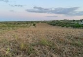 Non-developable land for sale on Carretera Camino Bajo de Toledo, Olías del Rey, ref: TR233027 photo
