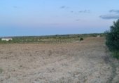 Non-developable land for sale on Carretera Camino Bajo de Toledo, Olías del Rey, ref: TR233027 photo