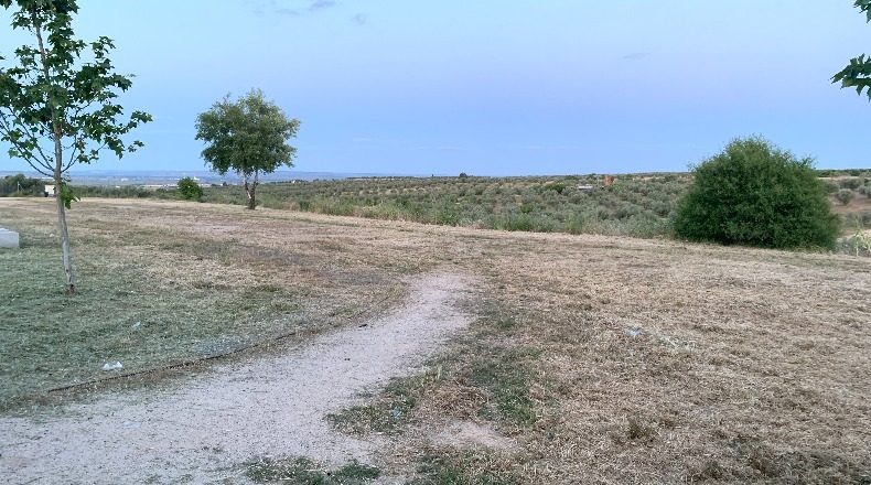 Toledo - Olías del Rey - 8612m2