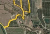Terreny amb ruïnes en venda a la Carretera a Vilanova, Vilanova de Segrià, ref.: TR233090 foto