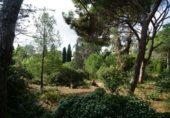 Sòl urbà en venda a la carrer dels eucaliptus, Cabrils, ref.: TR233091 foto