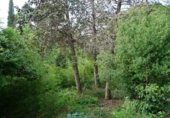 Sòl urbà en venda a la carrer dels eucaliptus, Cabrils, ref.: TR233091 foto