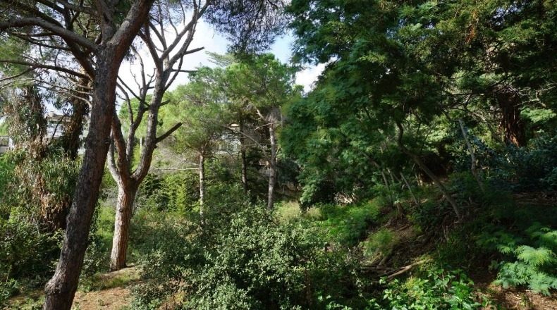 Barcelona - Cabrils - 1000m2