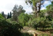 Sòl urbà en venda a la carrer dels eucaliptus, Cabrils, ref.: TR233091 foto