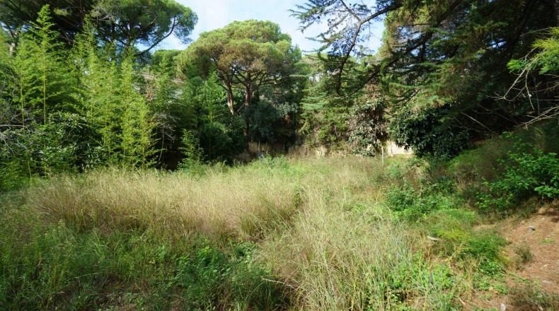 Barcelona - Cabrils - 1000m2