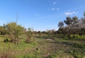 As Pontes de García Rodríguez 45257&nbsp;м²