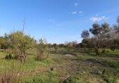 Земля на продажу у города As Pontes de García Rodríguez Фото