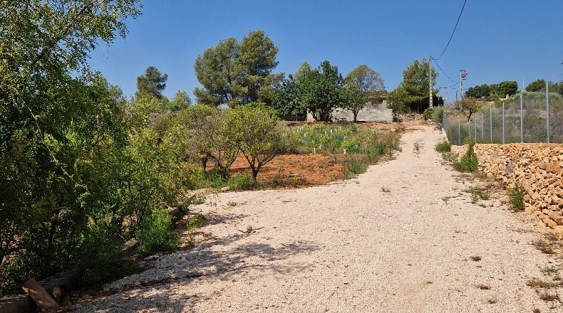 Castellón - Alcora - 17000m2