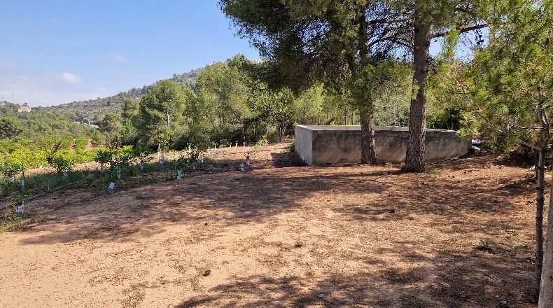 Castellón - Alcora - 17000m2