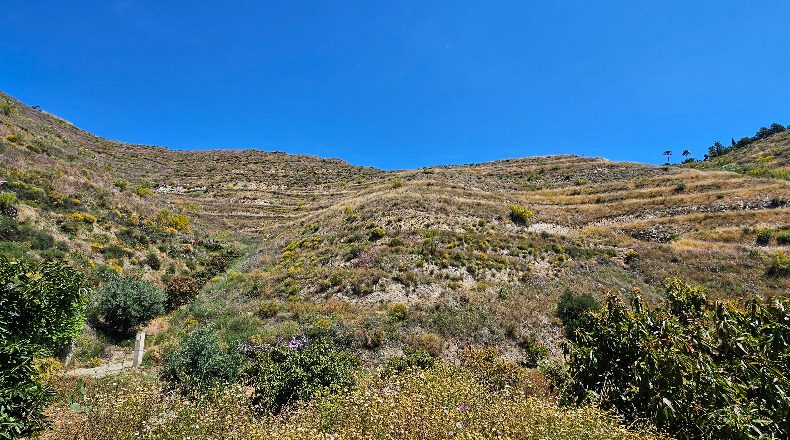 Granada - Almuñécar - 43000m2