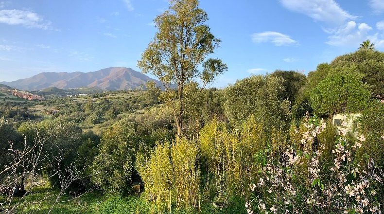 Málaga - Estepona - 2560m2