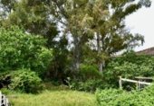 Casa amb terreny en venda a la Calle Juan de Oñate, Estepona, ref.: TR233190 foto