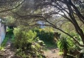 Casa amb terreny en venda a la Calle Juan de Oñate, Estepona, ref.: TR233190 foto
