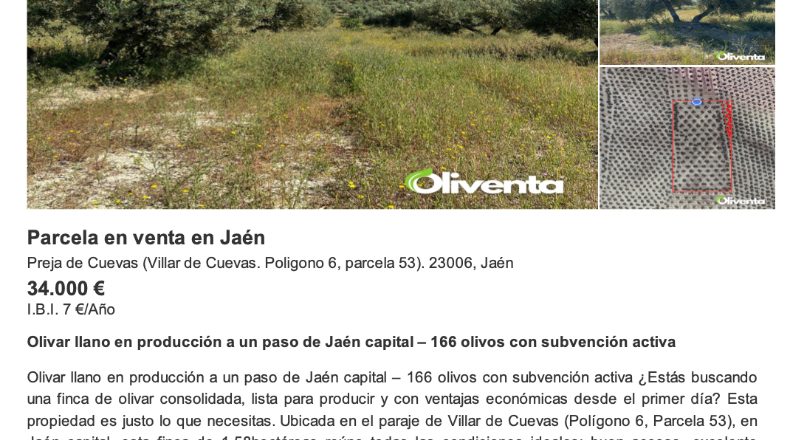 Jaén - Jaén - 15750m2