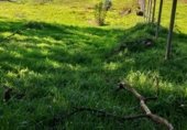 Sòl urbà en venda a la Vilar -crendes, Crendes, ref.: TR233234 foto
