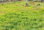 Sòl urbà en venda a la Vilar -crendes, Crendes, ref.: TR233234 foto
