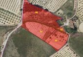 Masia with land for sale on POLIGONO 11, La Font de la Figuera, ref: TR233252 photo