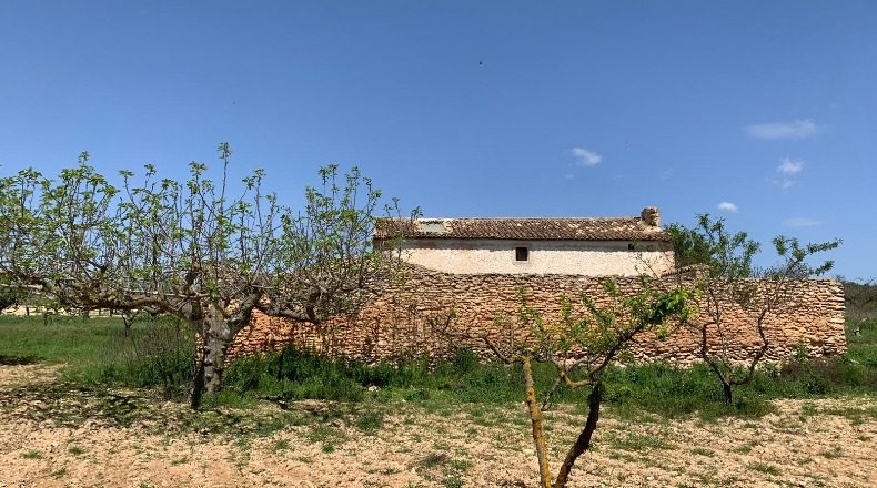 Valencia - Fuente la Higuera - 15000m2