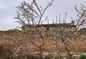 Masia with land for sale on POLIGONO 11, La Font de la Figuera, ref: TR233252 photo