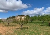 Masia with land for sale on POLIGONO 11, La Font de la Figuera, ref: TR233252 photo