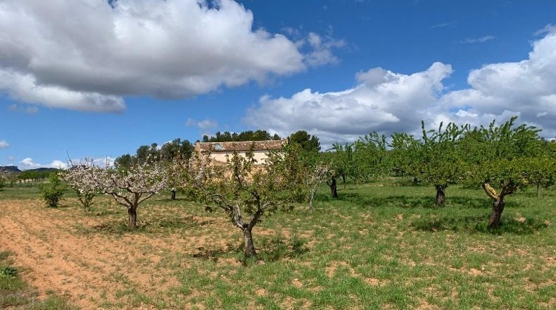 Valencia - Fuente la Higuera - 15000m2