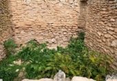 Masia with land for sale on POLIGONO 11, La Font de la Figuera, ref: TR233252 photo