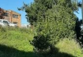 Suelo urbano en venta en la Carrer de Les Flors 51, Sant Joan Samora, ref: TR233255 foto