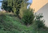 Suelo urbano en venta en la Carrer de Les Flors 51, Sant Joan Samora, ref: TR233255 foto