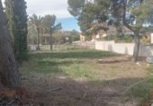 Sòl urbà en venda a la Avinguda molineta 1, Petrer, ref.: TR233280 foto