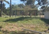Sòl urbà en venda a la Avinguda molineta 1, Petrer, ref.: TR233280 foto