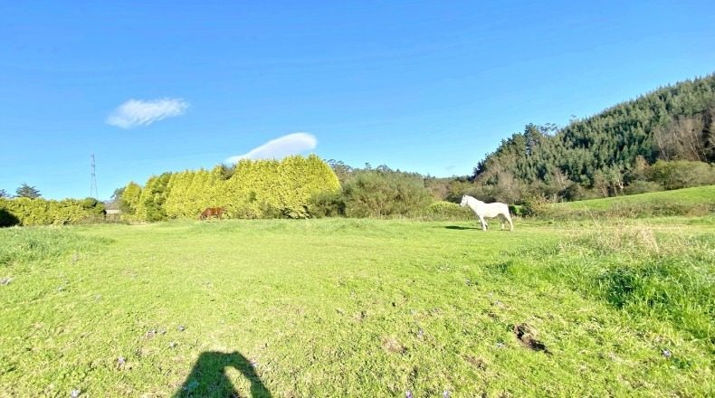 La Coruña - A Capela - 4229m2