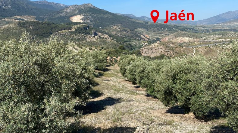 Jaén - Pegalajar - 33000m2