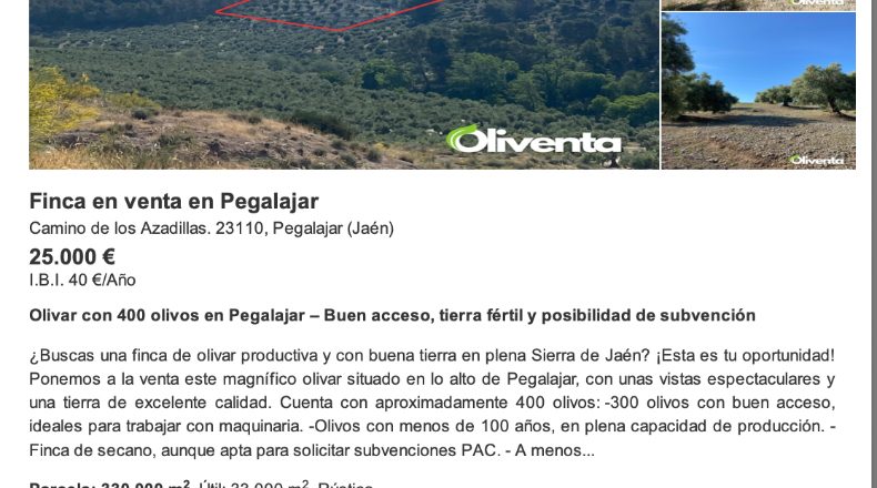 Jaén - Pegalajar - 33000m2