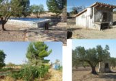 Casa de campo con terreno en venta en la Paraje arabi, Yecla, ref: TR233287 foto