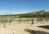 Casa de campo con terreno en venta en la Paraje arabi, Yecla, ref: TR233287 foto