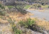 Sòl urbà en venda a la Calle Olivos, La Envía, ref.: TR233290 foto