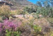 Sòl urbà en venda a la Calle Olivos, La Envía, ref.: TR233290 foto