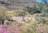 Sòl urbà en venda a la Calle Olivos, La Envía, ref.: TR233290 foto