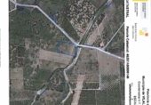 Non-developable land for sale on Camí de Vilallonga, Vilallonga, ref: TR233294 photo