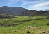 Rural estate for sale on Carretera Cervera, Cervera de Pisuerga, ref: TR233299 photo