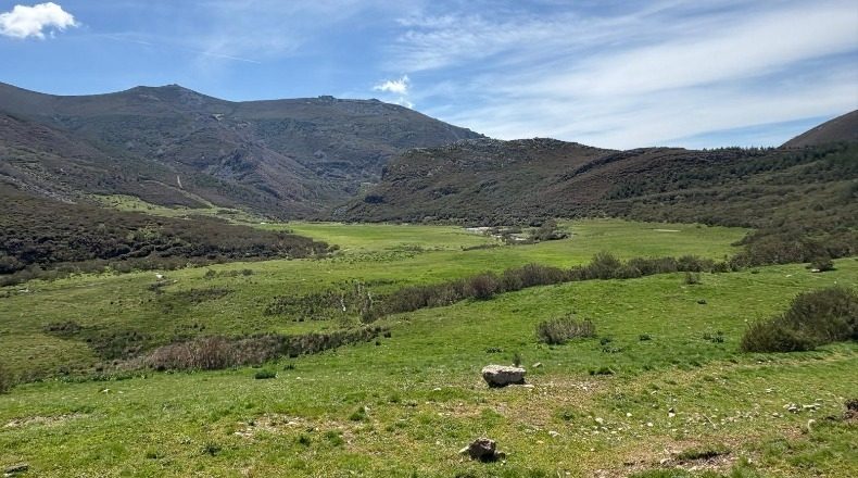 Паленсия - Cervera de Pisuerga - 63600m2