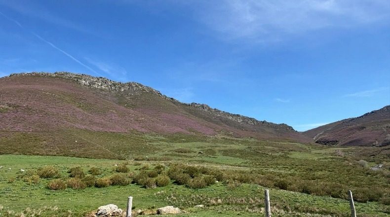 Паленсия - Cervera de Pisuerga - 63600m2