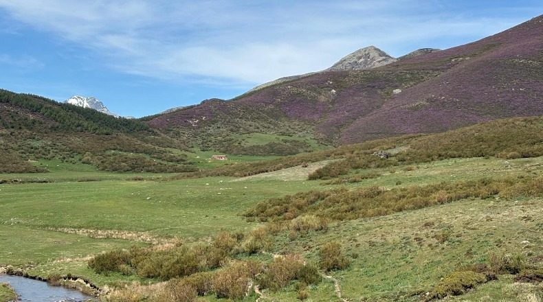 Паленсия - Cervera de Pisuerga - 63600m2