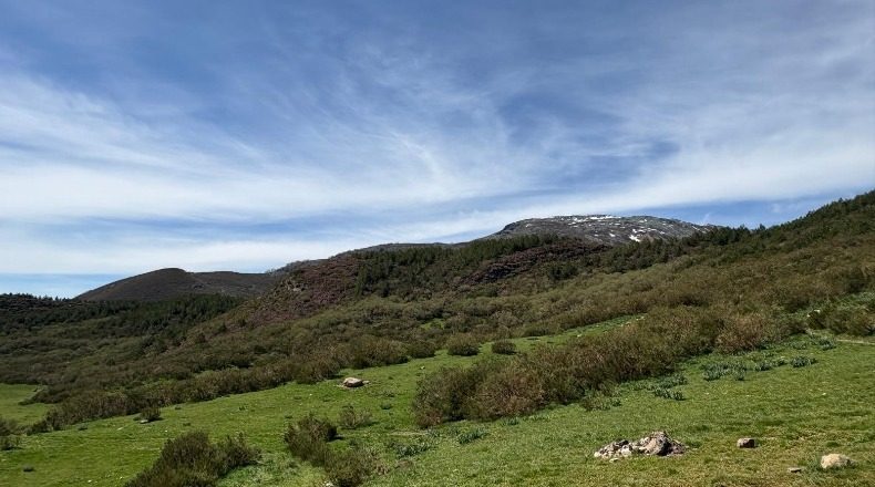 Паленсия - Cervera de Pisuerga - 63600m2