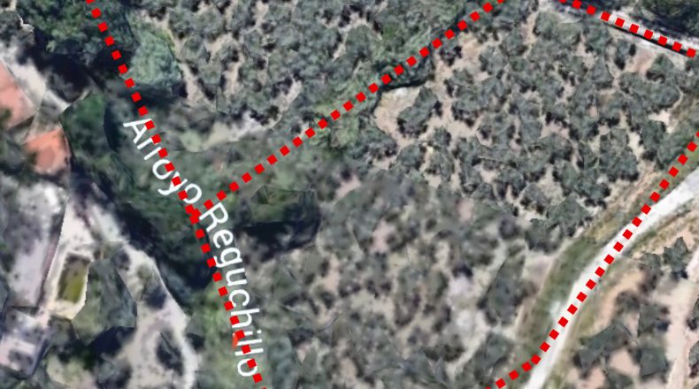 Jaen - Jaén - 5000m2