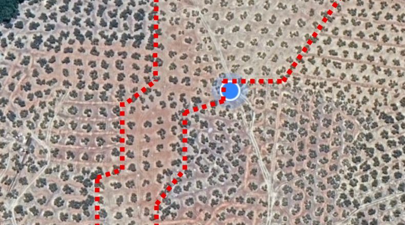 Jaen - Torredonjimeno - 21000m2
