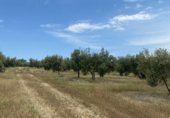 Земля, подлежащая урбанизации на продажу у города Torredonjimeno Фото