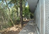 House with land for sale on TORRENT VALLVERDINA, Gelida, ref: TR233364 photo