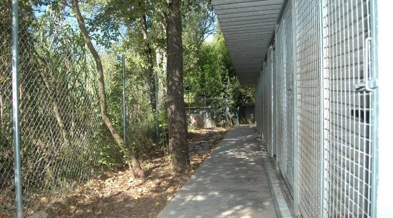 Barcelona - Gelida - 5000m2