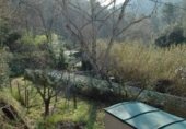 House with land for sale on TORRENT VALLVERDINA, Gelida, ref: TR233364 photo